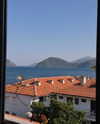 1vecua Altpins Profile Picture