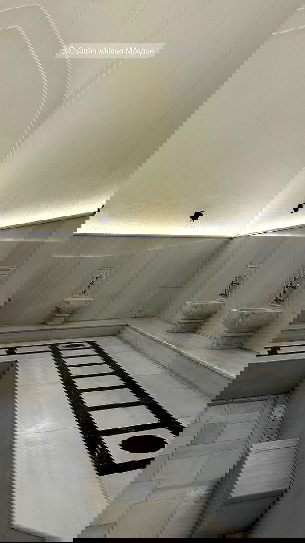 taylor.creeden taylor.creeden archive image