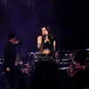 dualipa Altpins Profile Picture