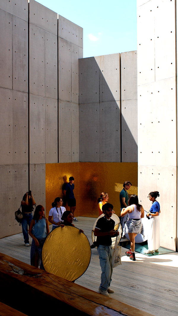 maruliners archive image