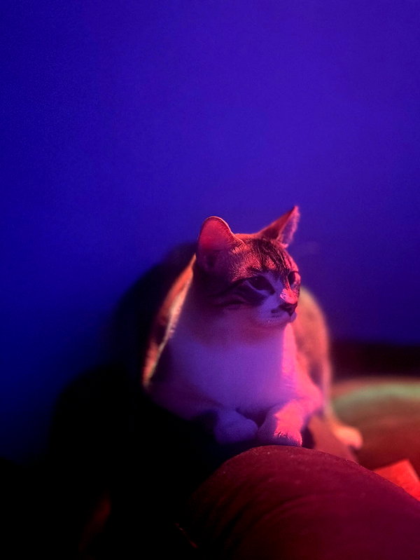 lulymakima instagram image archive image