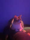 lulymakima Altpins Profile Picture