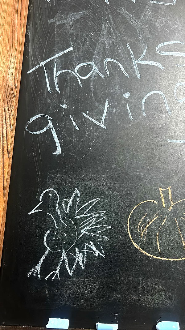 taxevasionkoala archive image