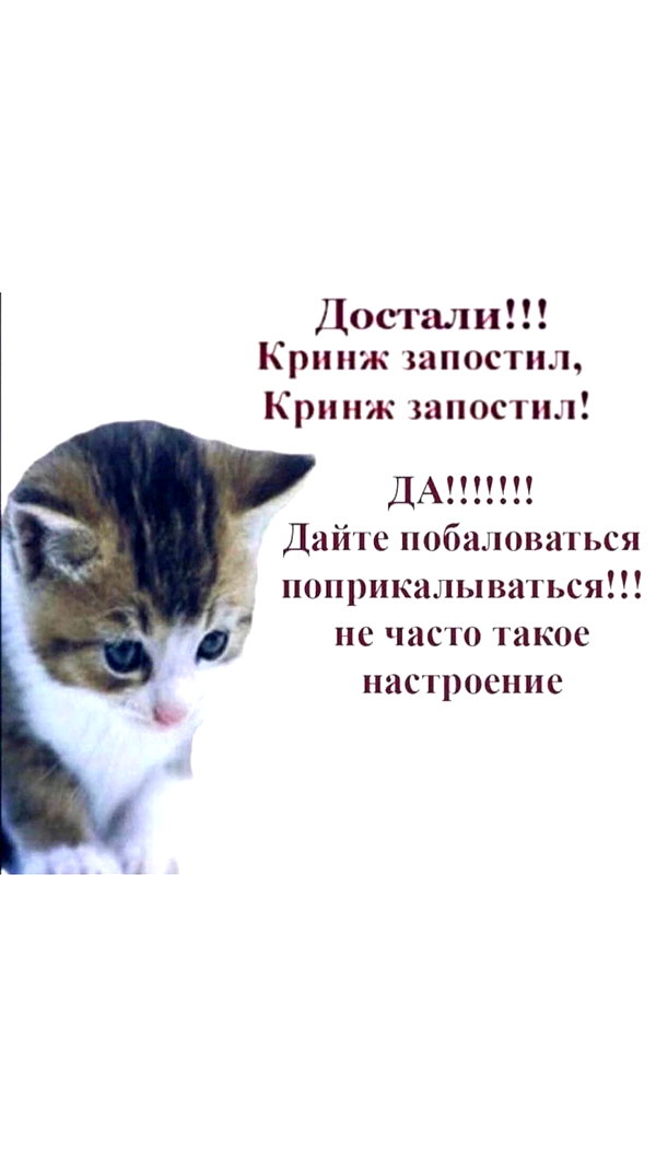stea0diness instagram image archive image