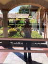 nikolpeleg Altpins Profile Picture
