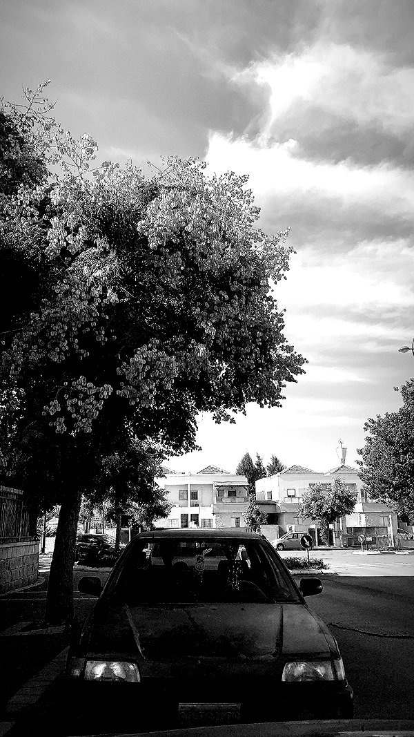 eitan.420 archive image