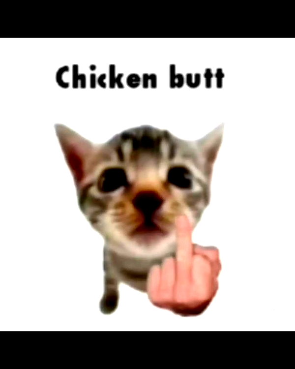 peachtoot.plz instagram image archive image