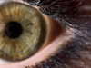 vasian_life Altpins Profile Picture