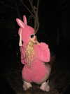 ormosheee Altpins Profile Picture