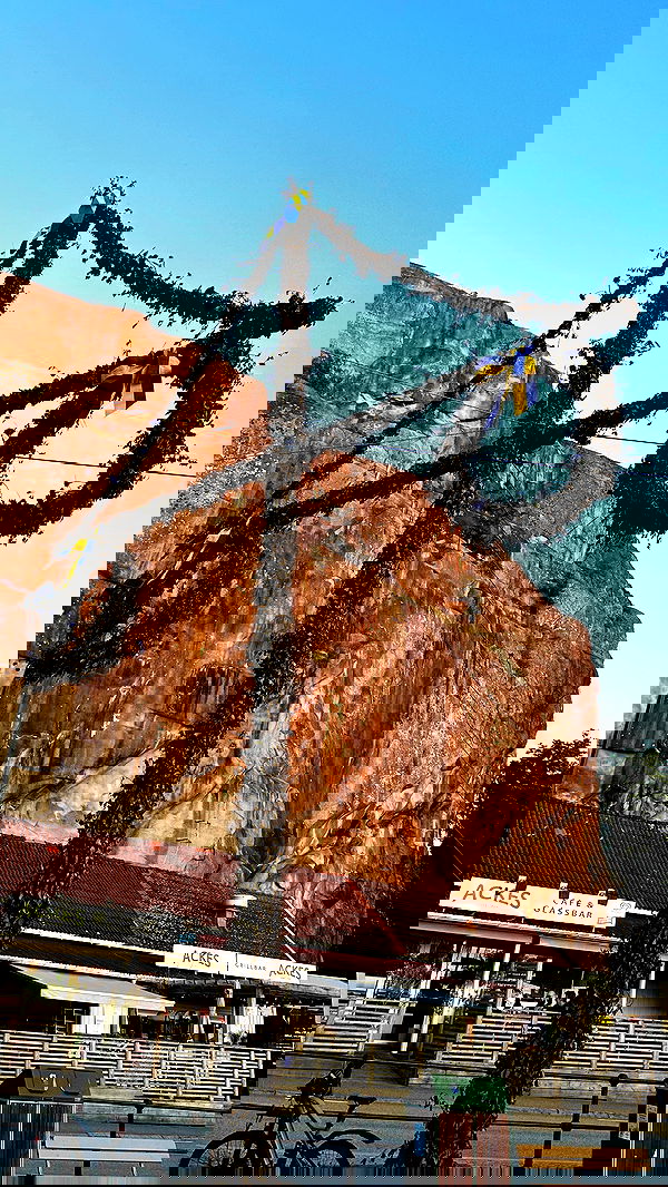 taylor.creeden taylor.creeden archive image