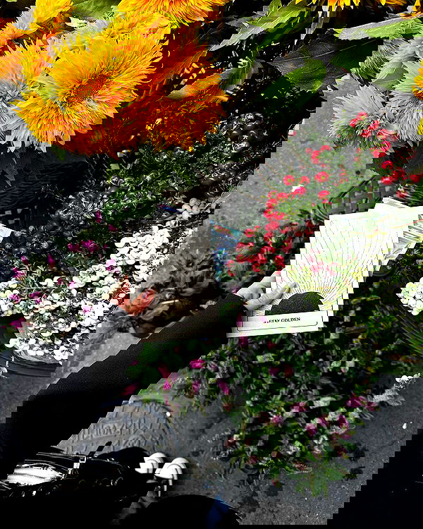 kkulakovaa image ~ Altpins