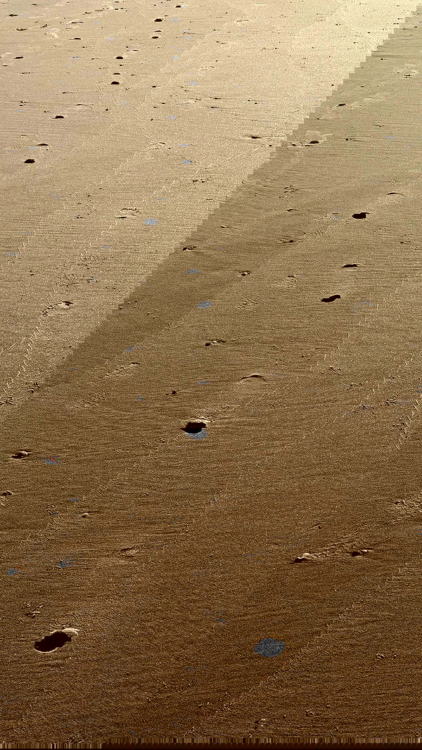 efrat_elmalich efrat_elmalich archive image