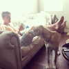sashapieterse Altpins Profile Picture