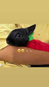 efrat_elmalich Altpins Profile Picture