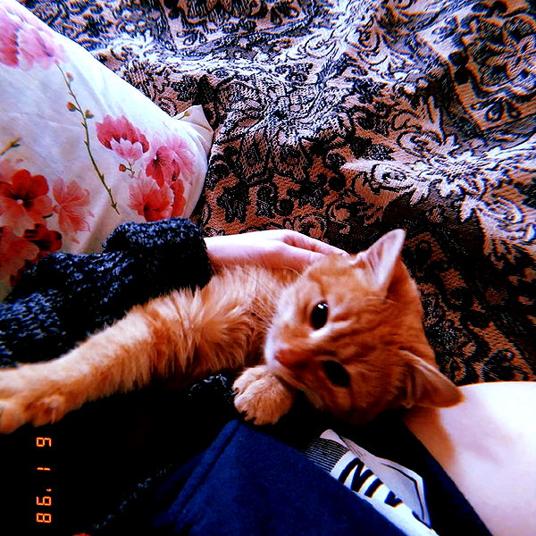 midnightdrearry instagram image archive image