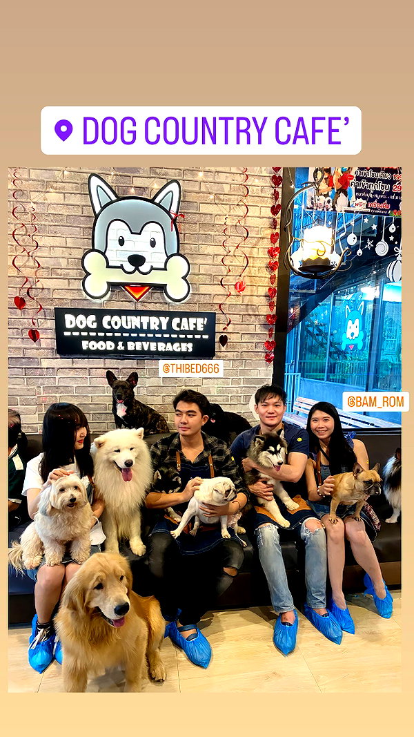 baipobam instagram image archive image