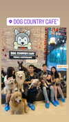 baipobam Altpins Profile Picture