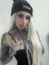 taxevasionkoala Altpins Profile Picture