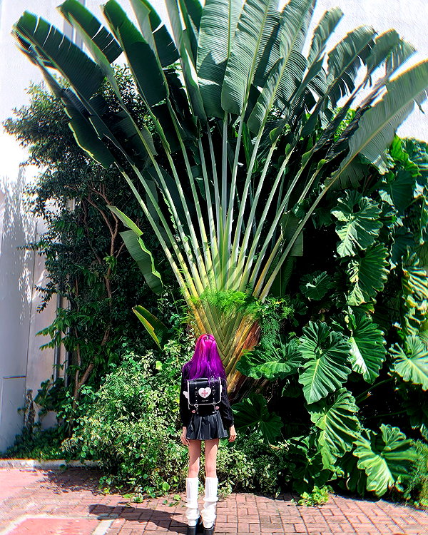 jadelaverne instagram image archive image