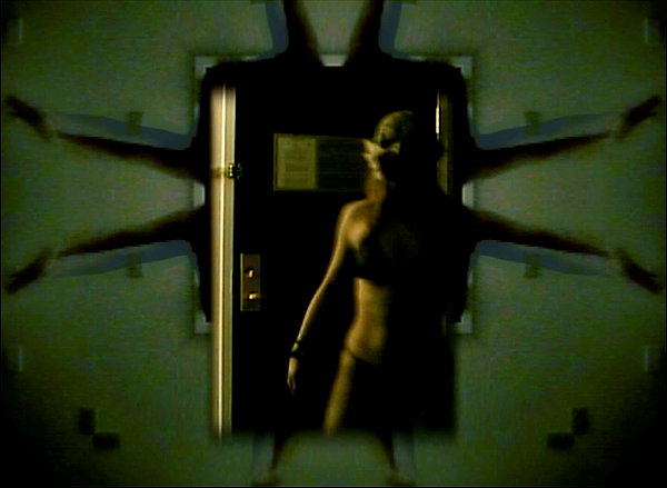 bugz4brainz instagram image archive image