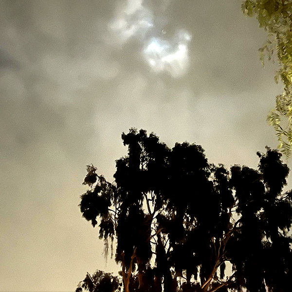 tatemcrae instagram image archive image