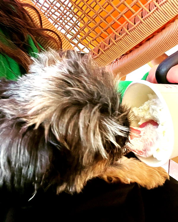 ashleybenson instagram image archive image