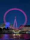 fegalvao_ Altpins Profile Picture
