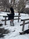 astarwbry_ Altpins Profile Picture
