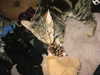lolontlia Altpins Profile Picture