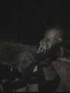 zommmbri Altpins Profile Picture
