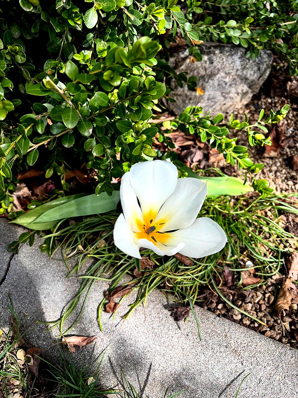 astarwbry_ instagram image archive image