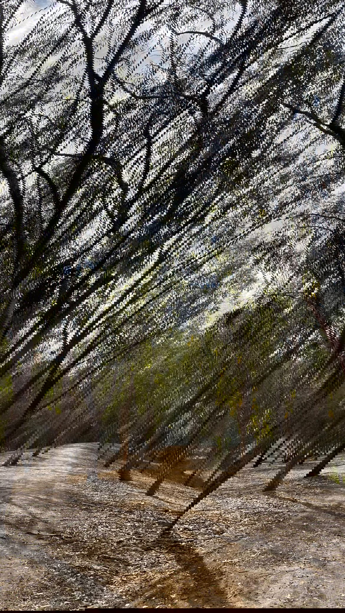 efrat_elmalich instagram image archive image