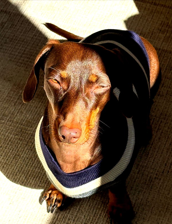 maya.keyy instagram image archive image