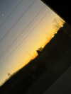 kimberr_0000 Altpins Profile Picture