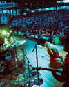 cannonstheband Altpins Profile Picture