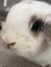 danielle.mercedie Altpins Profile Picture