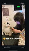 dante_yangpa Altpins Profile Picture