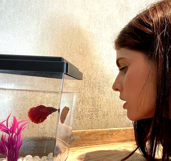 alexandradaddario instagram image archive image