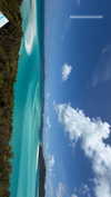 maori_cohen Altpins Profile Picture