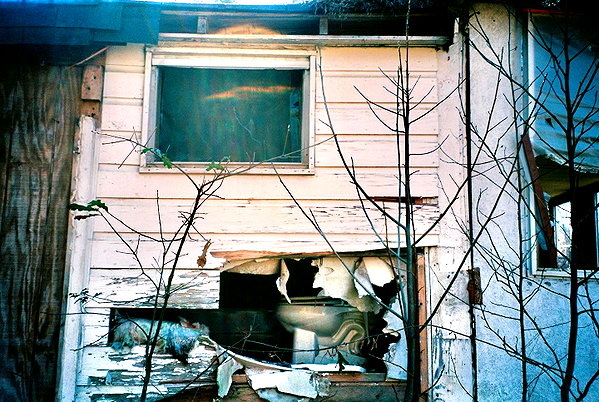 bugz4brainz instagram image archive image