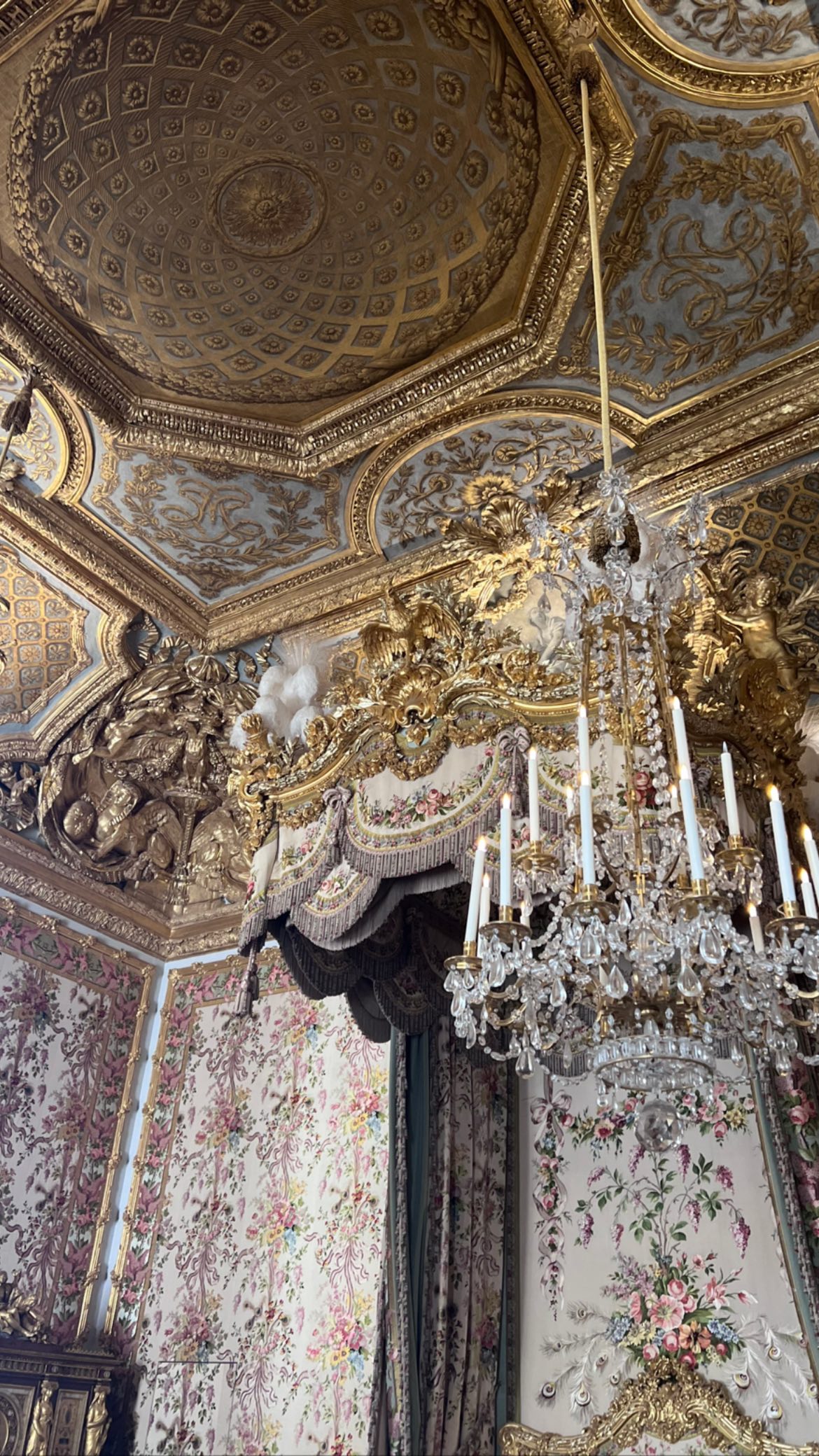 leonanaomii instagram image archive image