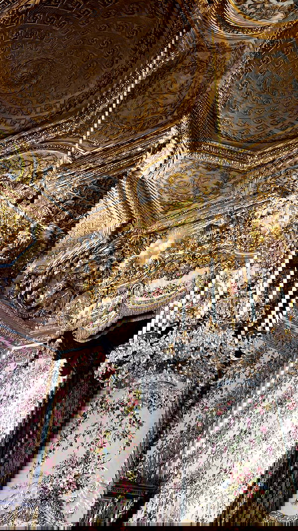 leonanaomii image ~ Altpins