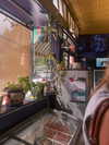 lila.clarkson Altpins Profile Picture