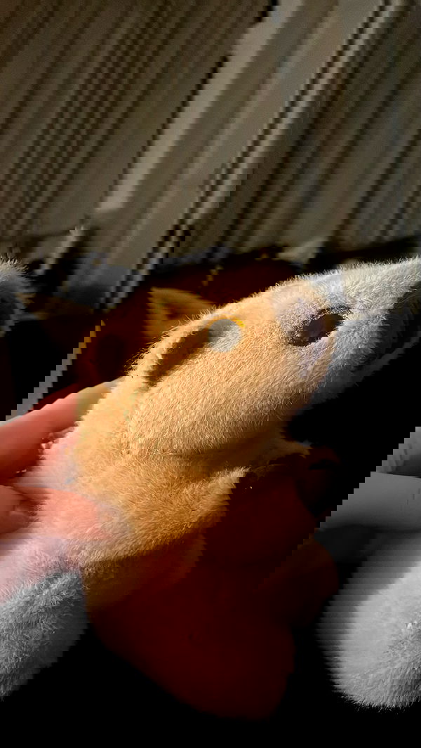 mayamorgannnnnn mayamorgannnnnn archive image