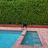 michalcohen___ Altpins Profile Picture