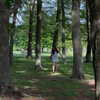 chanakateri Altpins Profile Picture