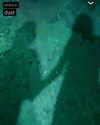 bugz4brainz Altpins Profile Picture