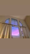 elizabethcampbelljones Altpins Profile Picture