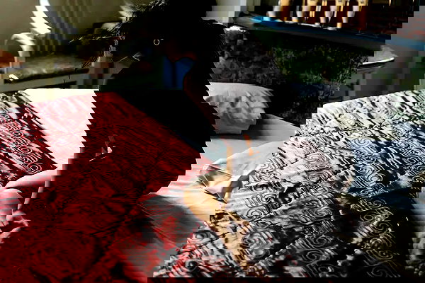 ting851204 ting851204 archive image