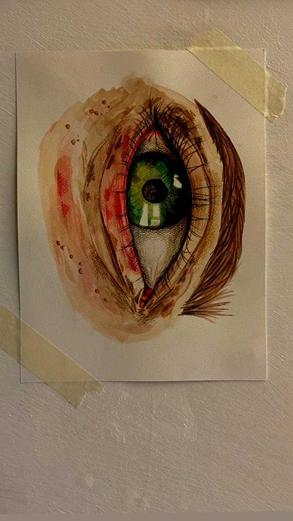 stea0diness instagram image archive image